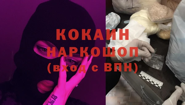 индика Осинники