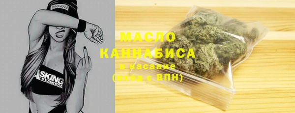 индика Осинники