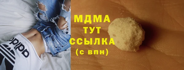 шишки Ельня