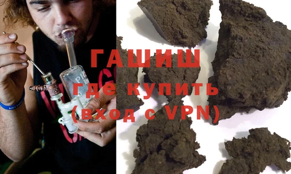 индика Осинники