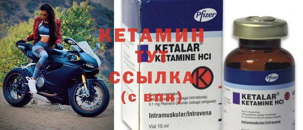 индика Осинники