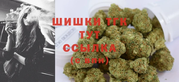 индика Осинники