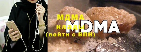 индика Осинники