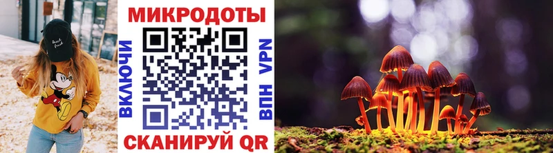 Галлюциногенные грибы Cubensis  Арсеньев 